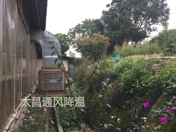 餐廳太熱？環(huán)?？照{(diào)為你送清風