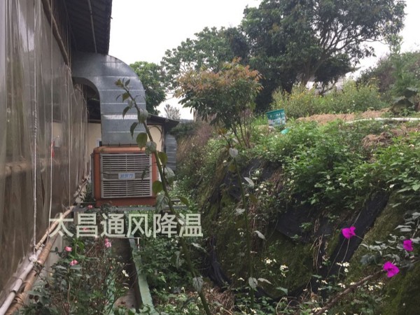 天氣太熱?環(huán)?？照{(diào)為你的餐廳守護(hù)清涼